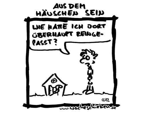 aus dem Häuschen sein