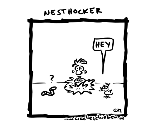Nesthocker