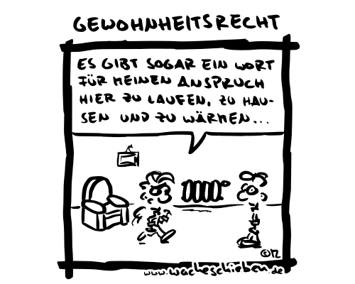 Gewohnheitsrecht