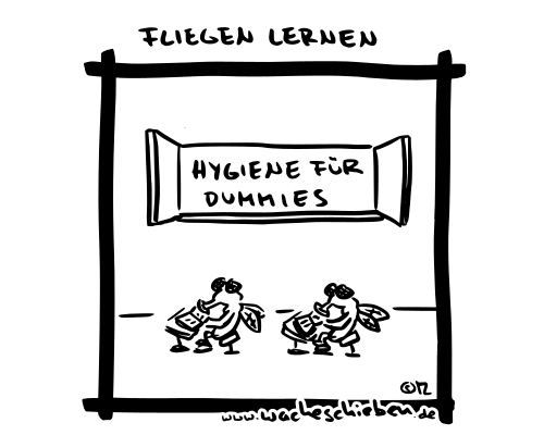 Fliegen lernen